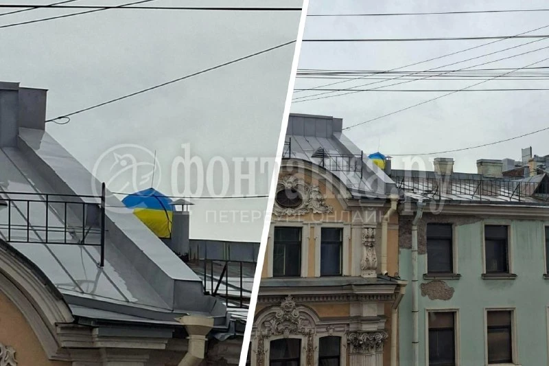 Что заметили на крыше дома на Большой Морской? 👀