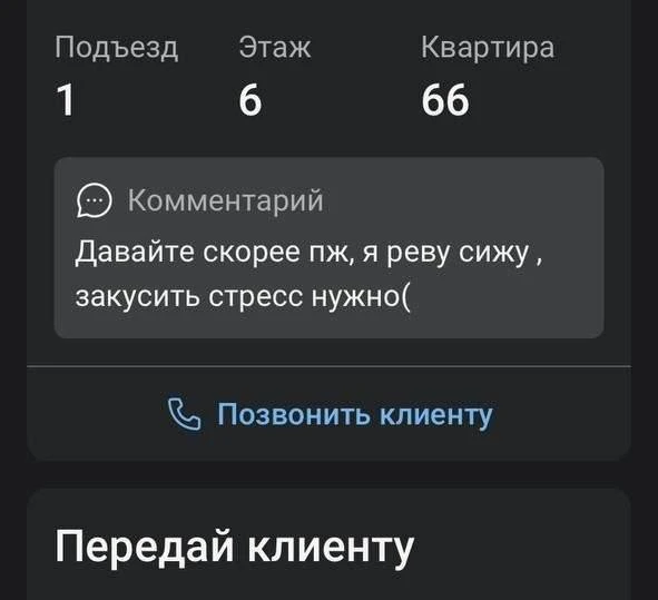 Более грустного комментария к заказу курьеры «Самоката» еще не видели.
