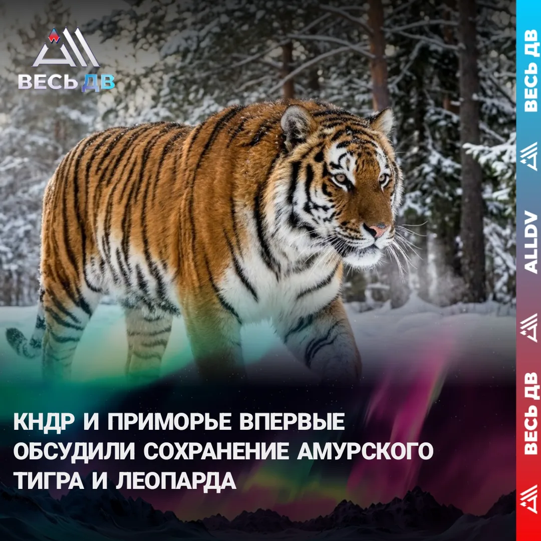 Стороны договорились вместе изучать редких кошек