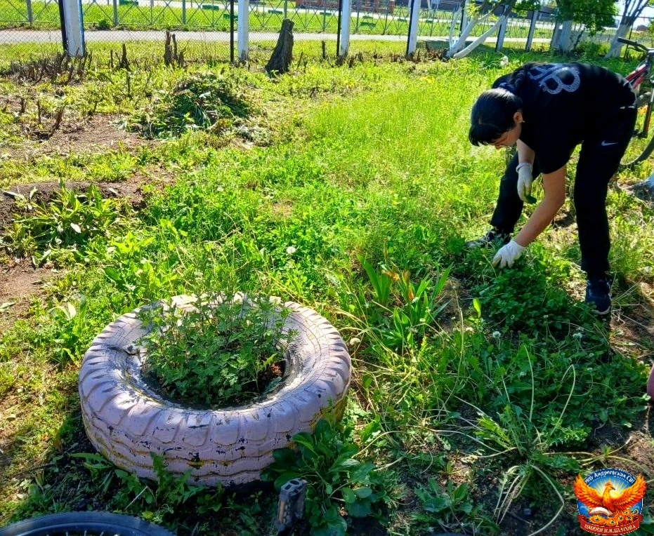 🌿🧹 Четвёртый день в лагере труда и отдыха «Круто»: наводим порядок на территории школ...