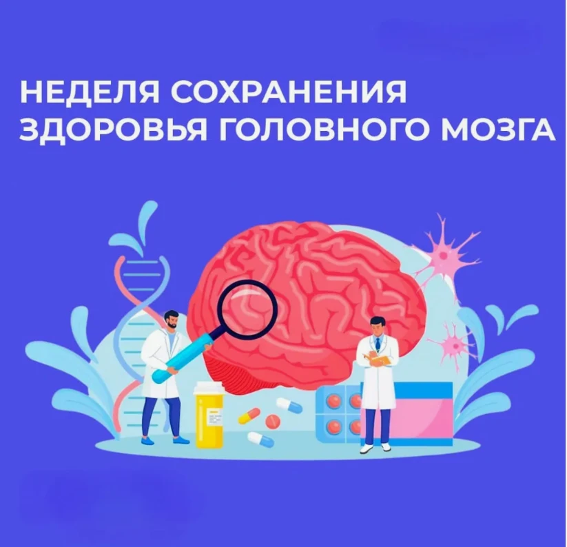 Здоровье головного мозга – это огромная тема, охватывающая множество областей, включая понимание раб