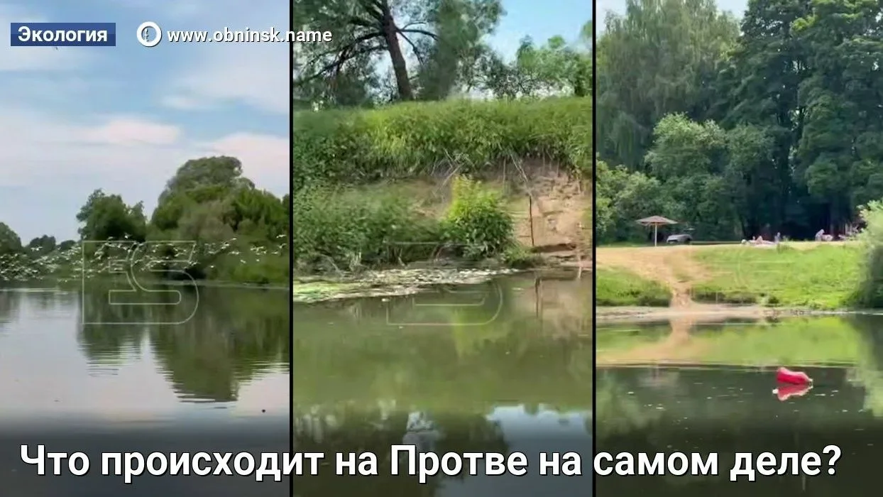 Что происходит на Протве на самом деле?

Что происходит на Протве на самом деле? Мы прошли несколько