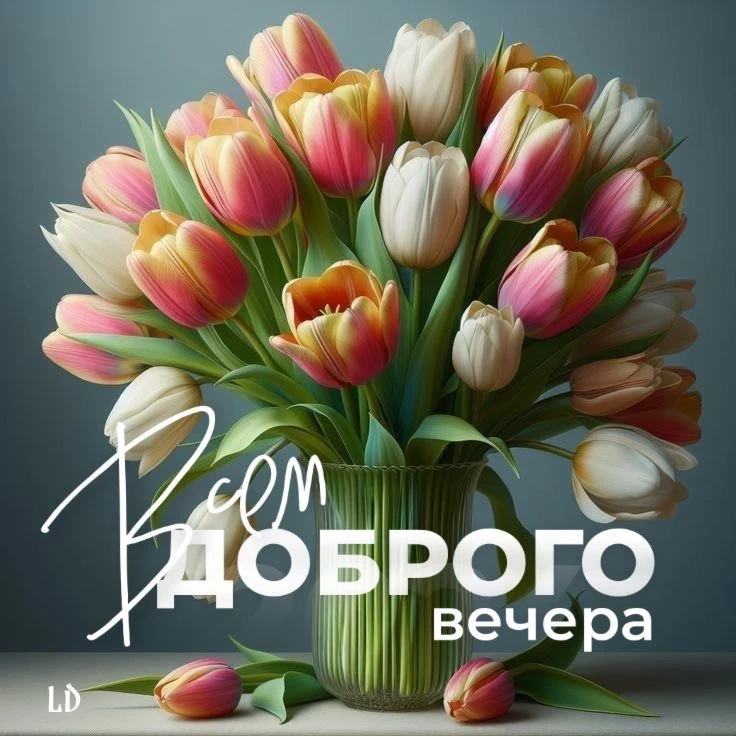 ПРАЗДНИКИ СЕГОДНЯ | ОТКРЫТКИ