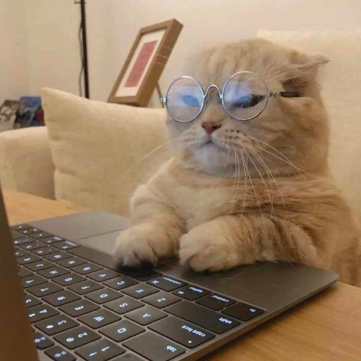 💻 Сегодня – День старого программиста