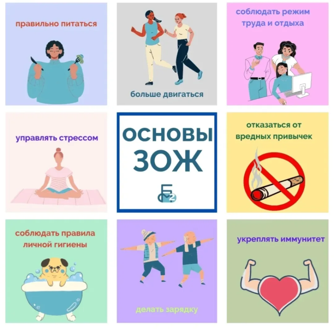 Основные компоненты ЗОЖ.

Сбалансированное питание. Рацион должен быть разнообразным и включать все 