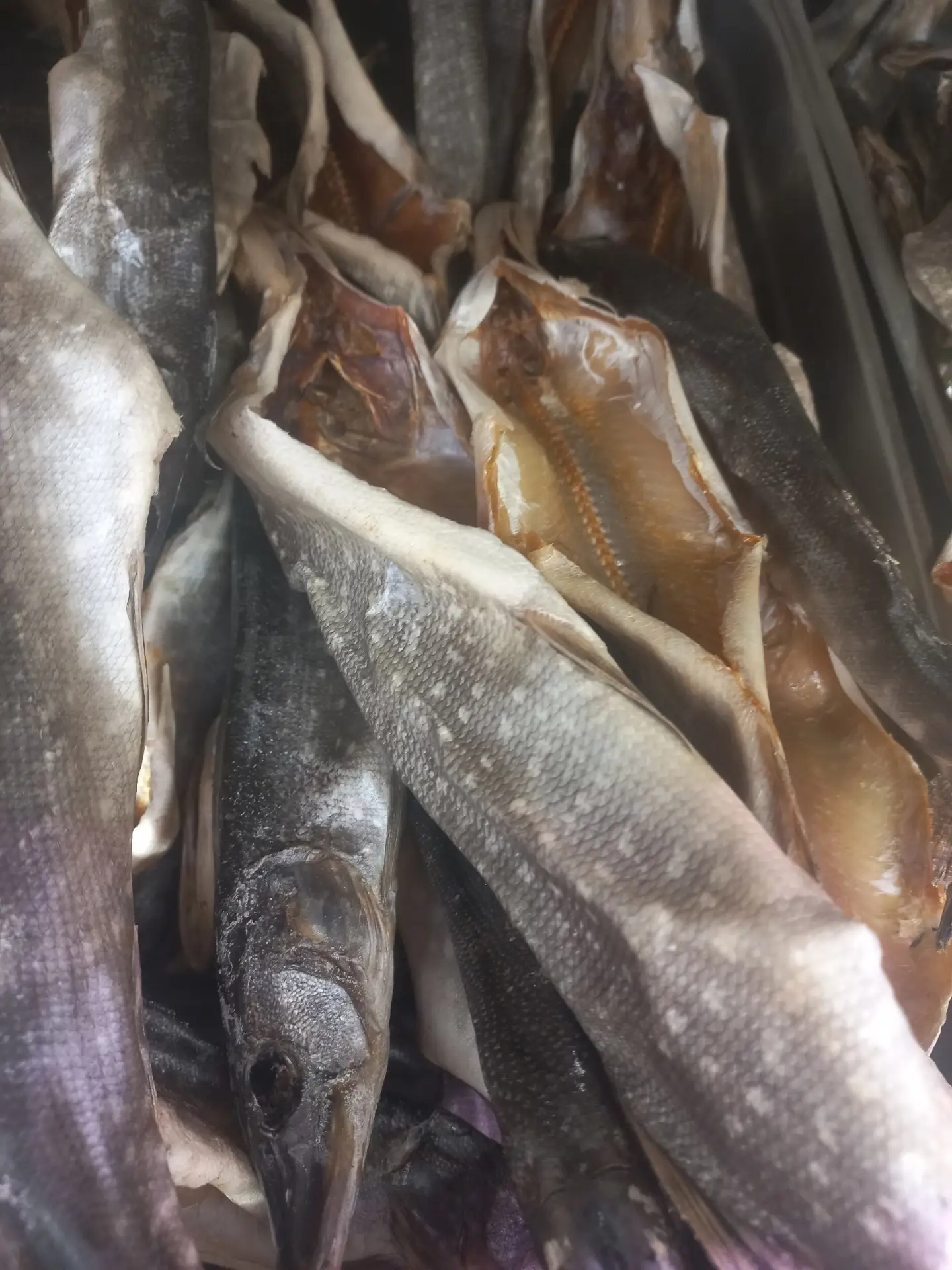 Рыбка вяленая и бойлерное для вкусной пятницы в магазине - 6 микрорайон, д.9
Щука
Синец
Корюшка
Сопа