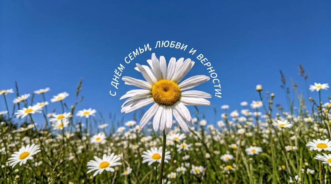С Днём семьи, любви и верности, дорогие мои! 🩷

Пусть в каждом доме живут любовь, уют и люди, к кот