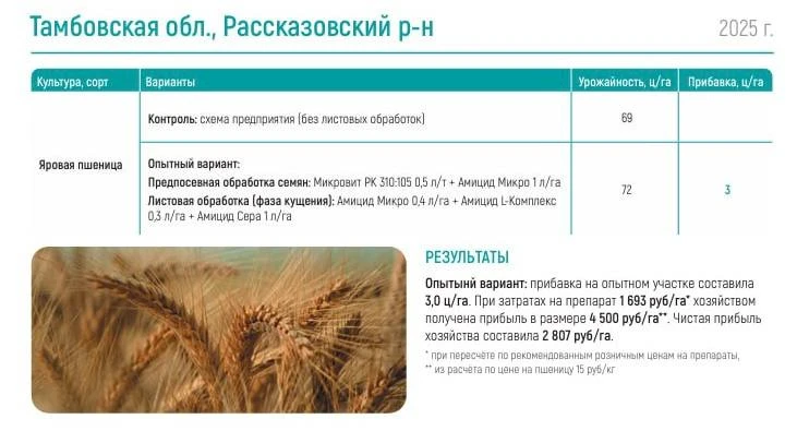 🌾 Пока активно проводятся опыты в новом сезоне, делимся нашим архивом - 2025 год, Тамб...