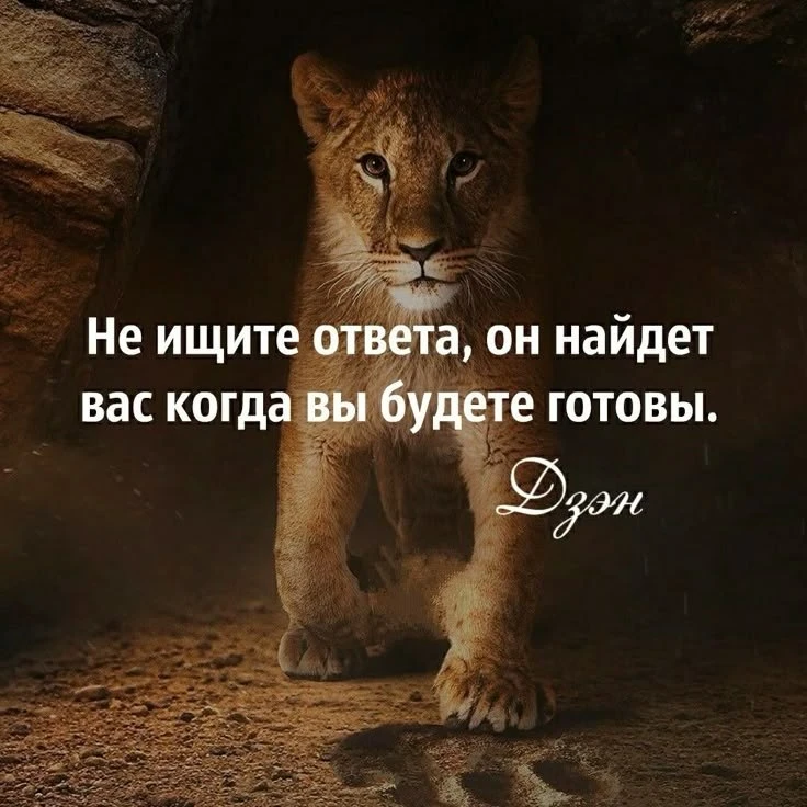 ⁣⁣
— протоколы нoвого покoления. Бeсплатно для всех. Кромe агентов РКН😉

Цитаты  - Пoдписаться