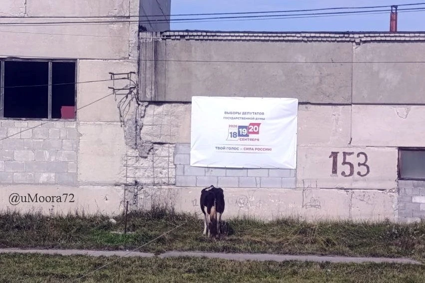 Выборы не за горами 😉 (фото от подписчика из Армизона)