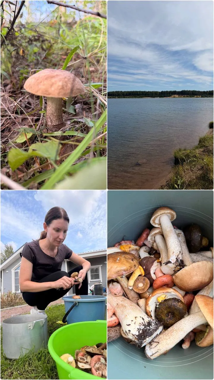 Выходные прошли не за компом, а в лесу 🍃