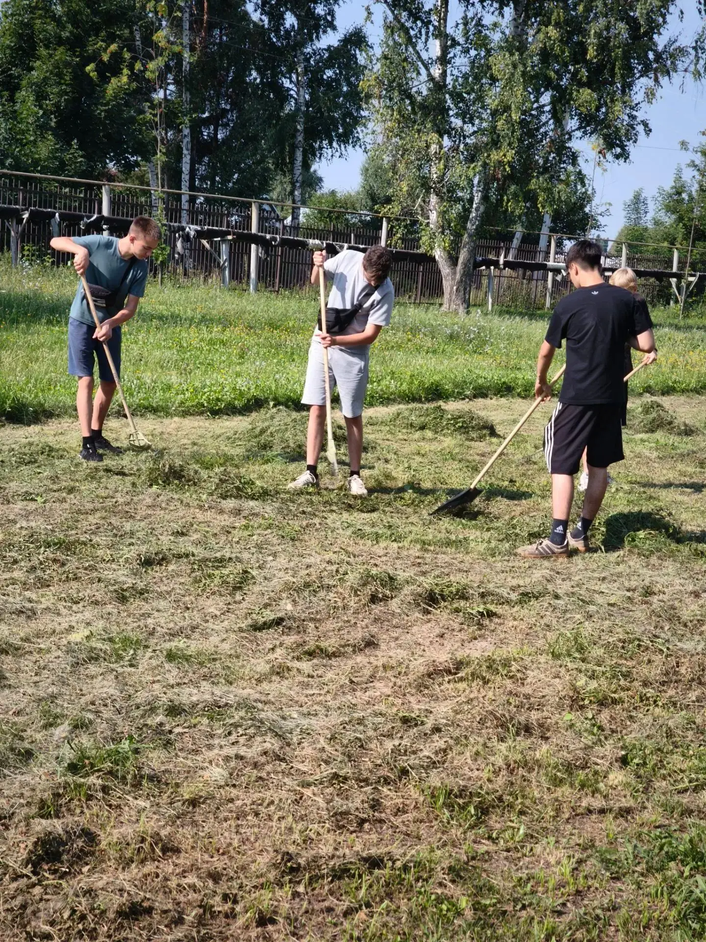 В дни летних каникул☀️ территория Нижнеломовского многопрофильного техникума🏫 не пусту...