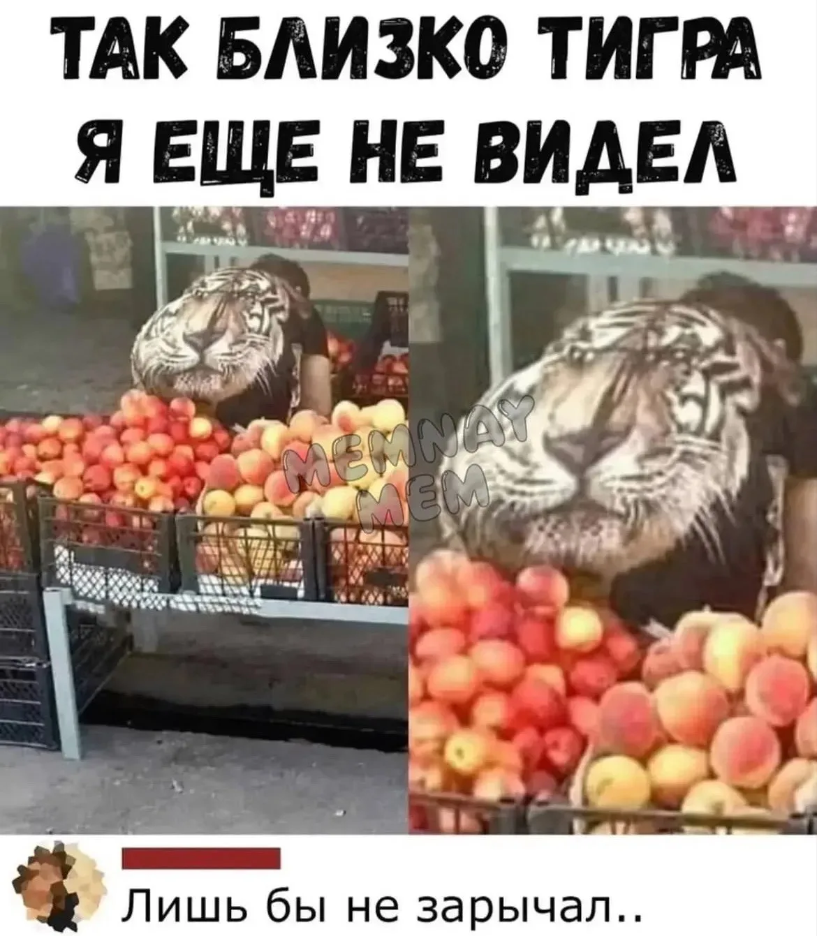 Открытки и приколы 🌸