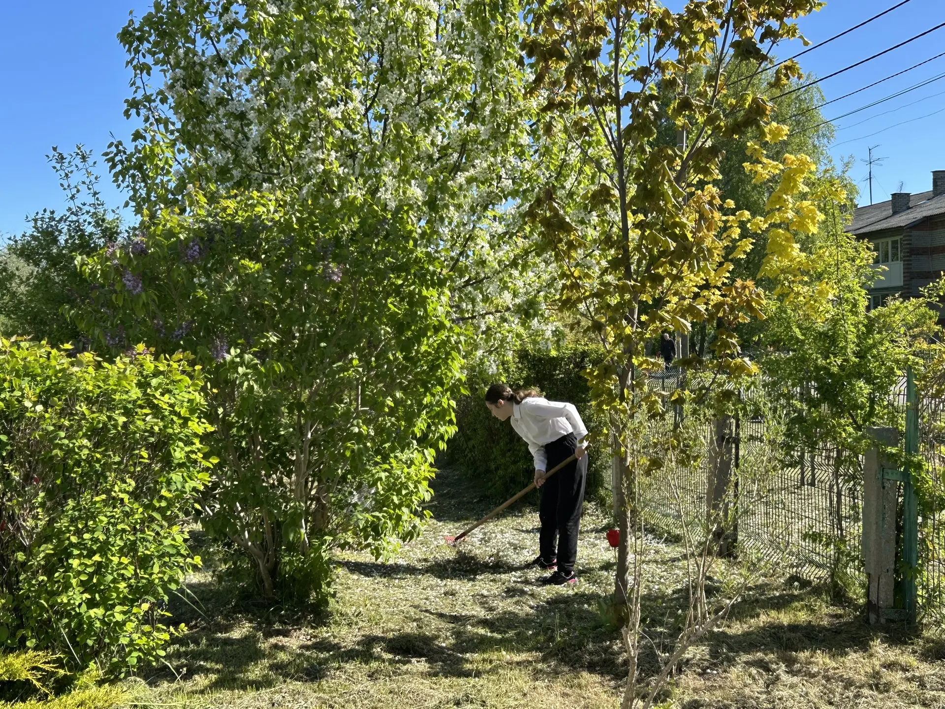 ☀️ Сегодня школьная территория преображается — и всё благодаря нашим замечательным учен...