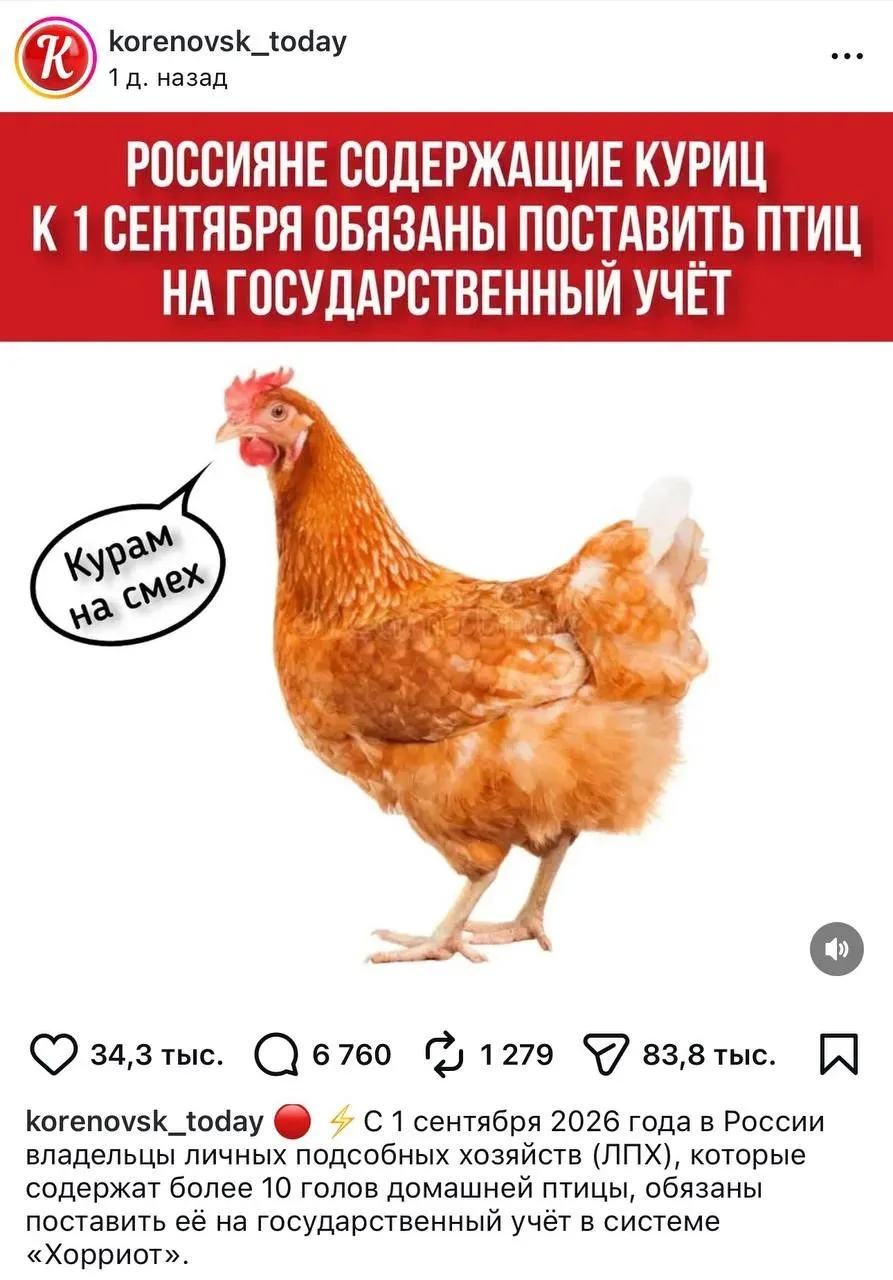 Ещё сегодня реестр кур заработал.🤣