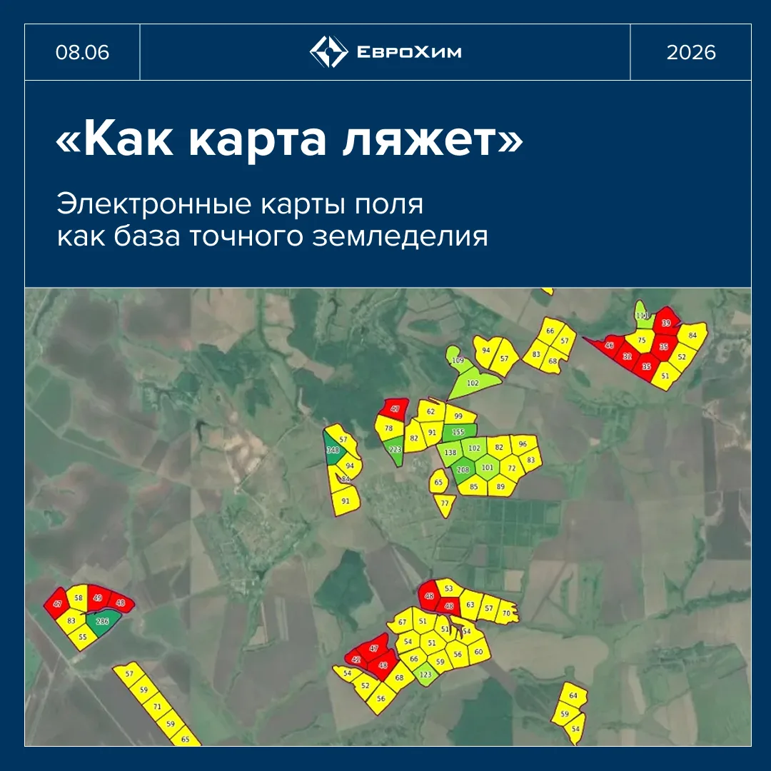 ⚗️ Уверены, что микроэлементы на вашем поле распределены равномерно?

Скорее всего — нет. Любое поле