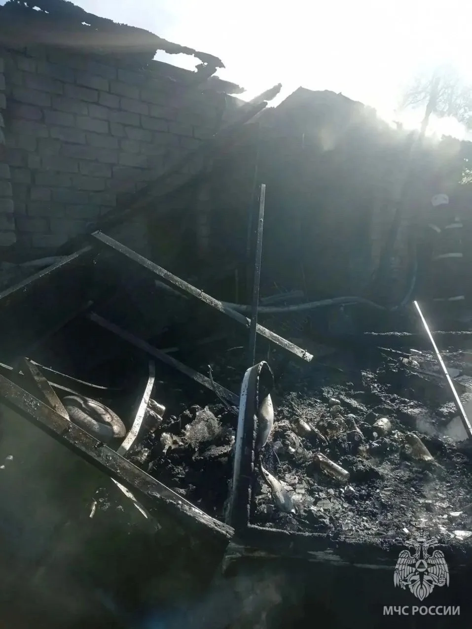 Три собаки и четыре кошки погибли при пожаре в Большой Ельне.