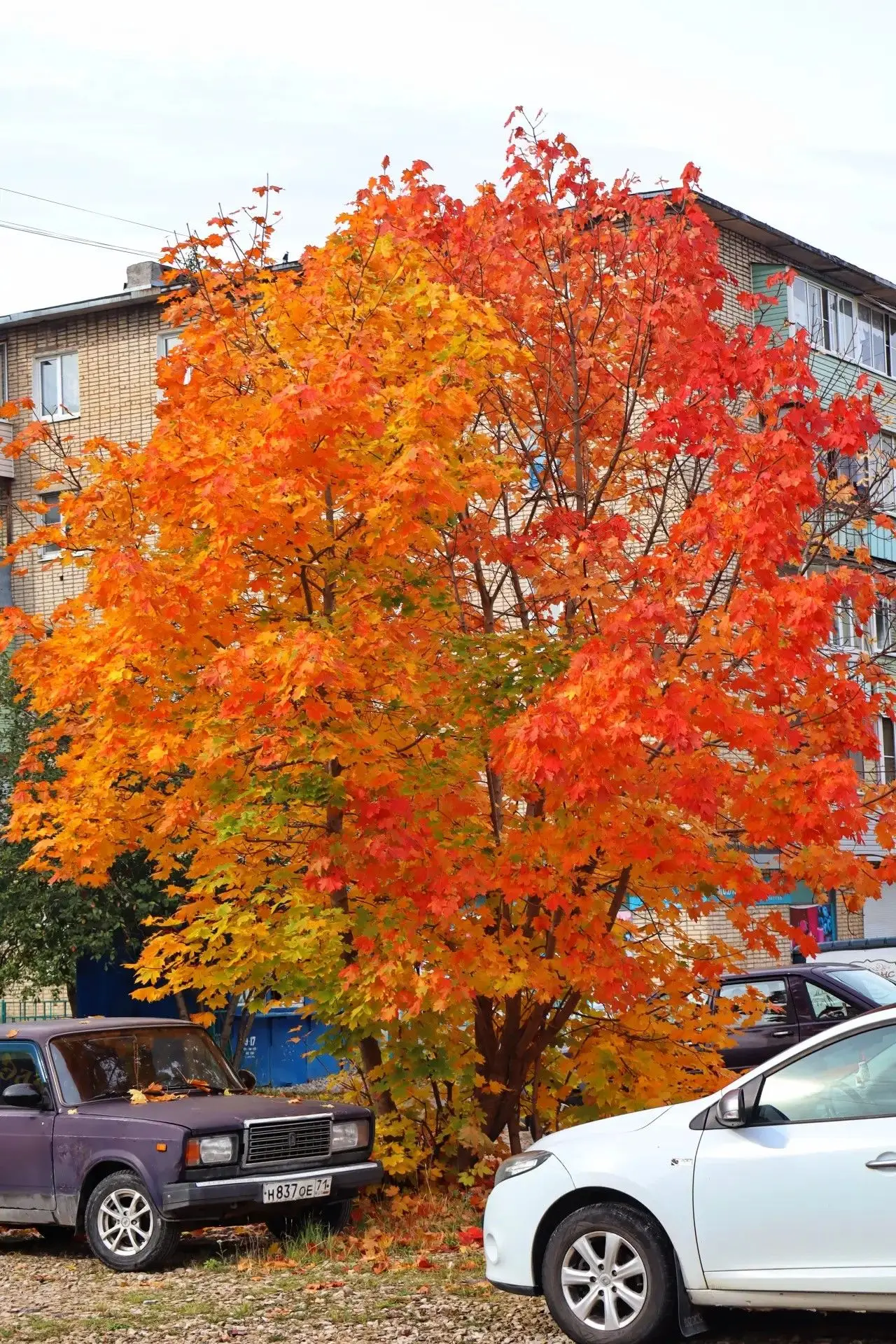 🍂Скажем сентябрю: "До встречи!"