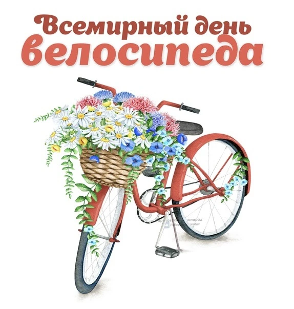 🚴‍♀️ ВСЕМИРНЫЙ ДЕНЬ ВЕЛОСИПЕДА 🚴

Друзья, поздравляем всех с Всемирным днем велосипеда! 🚴‍♂️

Вел