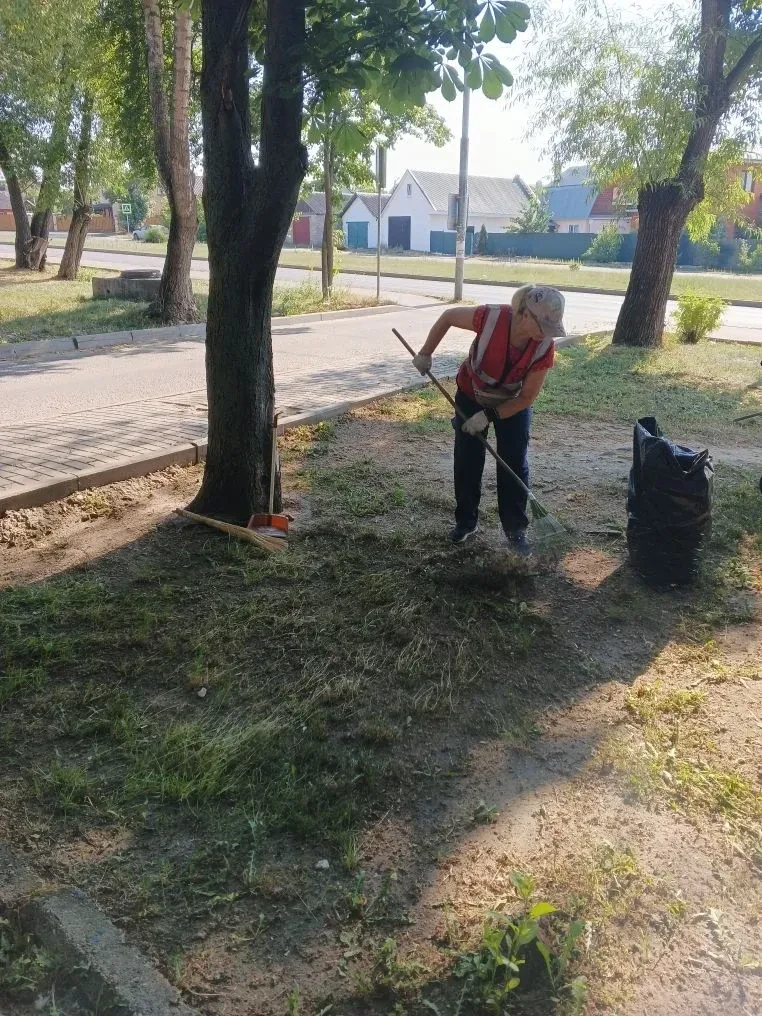 Забота о чистоте и порядке во дворах — это не просто эстетическое требование, а фундаме...