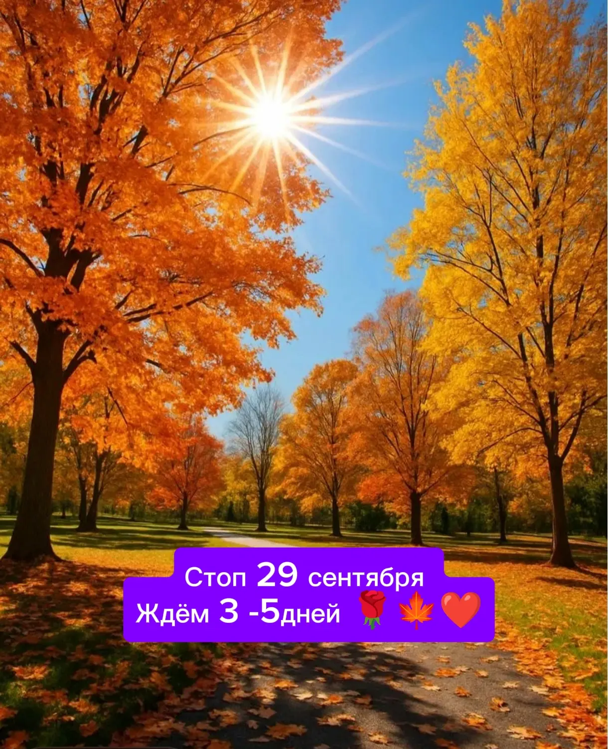 Девочки , жду ваши дозаказы в личные сообщения 🍁🍂🍁❤️🥰