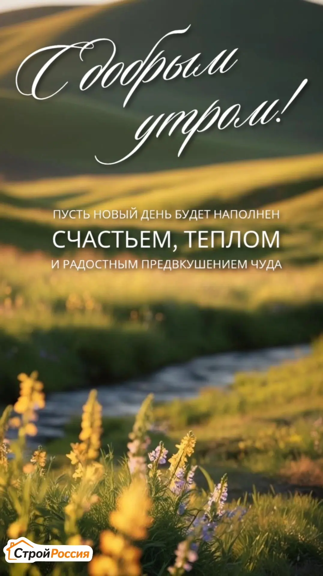 🌿 Доброе утро!