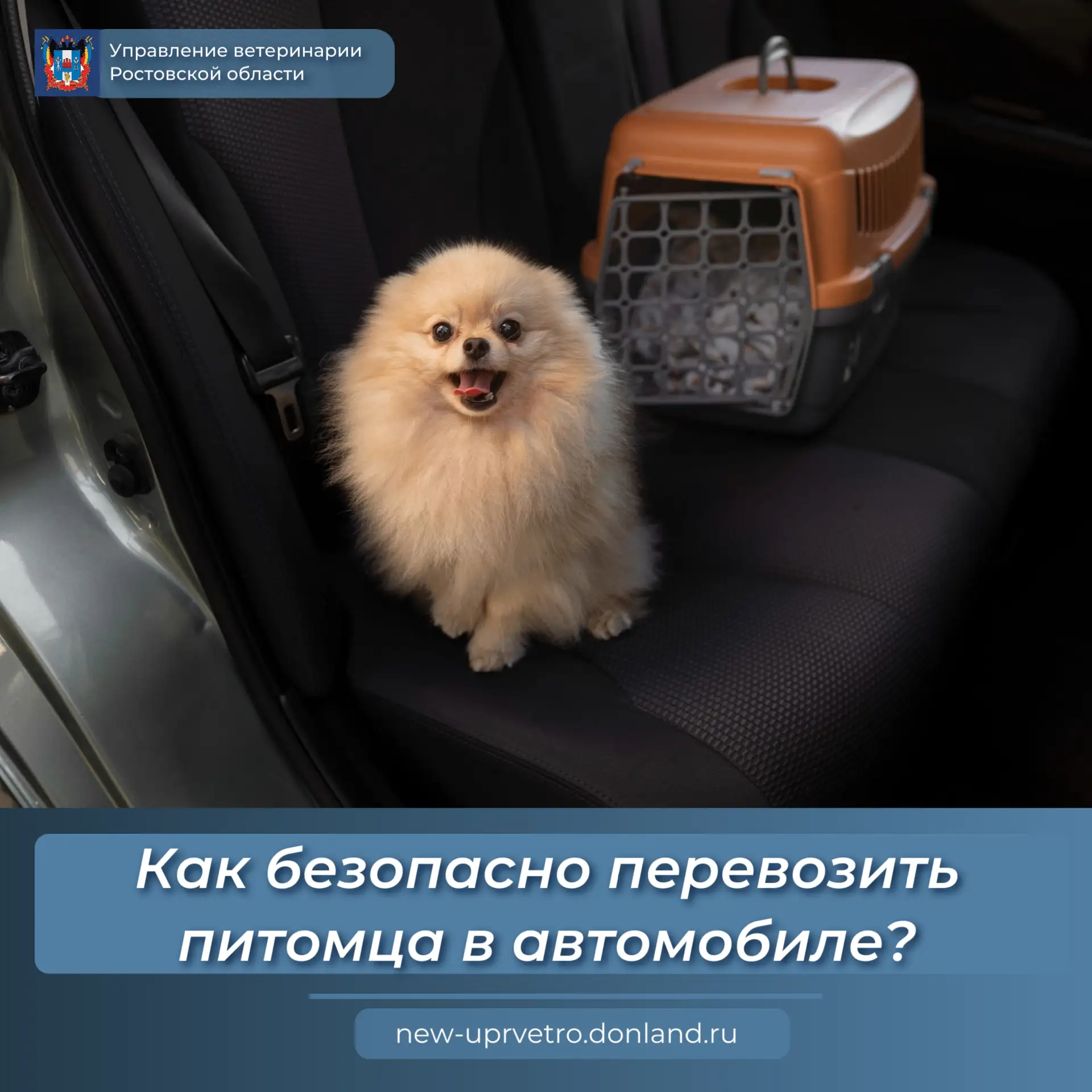 🚙С наступлением теплого сезона многие отправляются в поездки с четвероногими друзьями....
