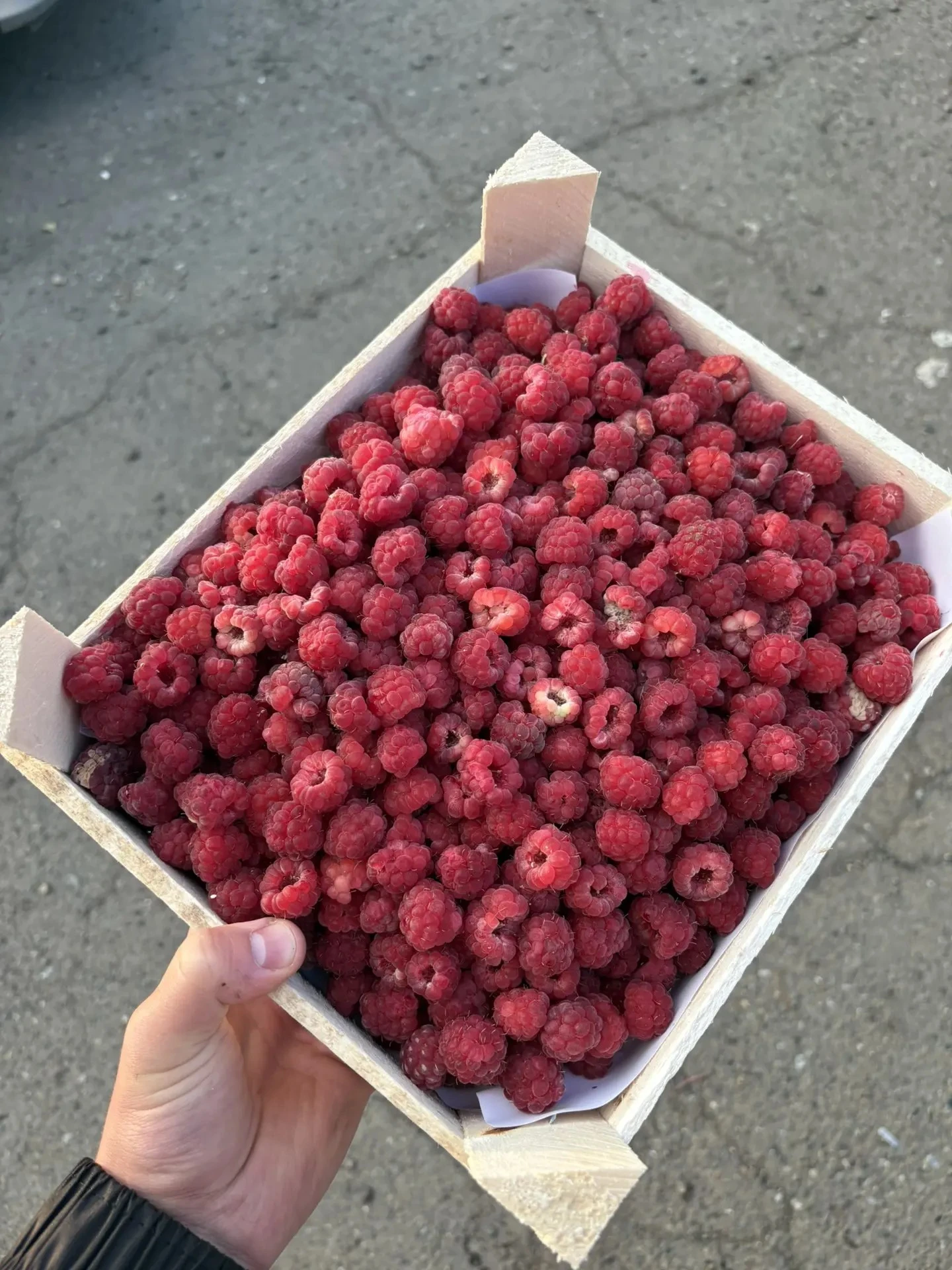 СВЕЖИЕ ЯГОДЫ И МОРЕПРОДУКТЫ — НЕ ВЫХОДЯ ИЗ ДОМА🍓🍤🐟