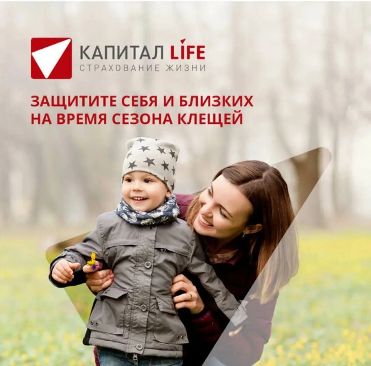 Предлагаю оформить страховку от укуса клеща