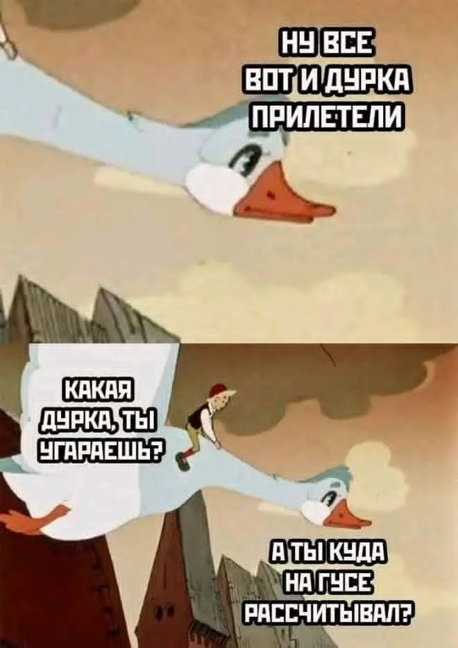 Подпишись на юмор 😂