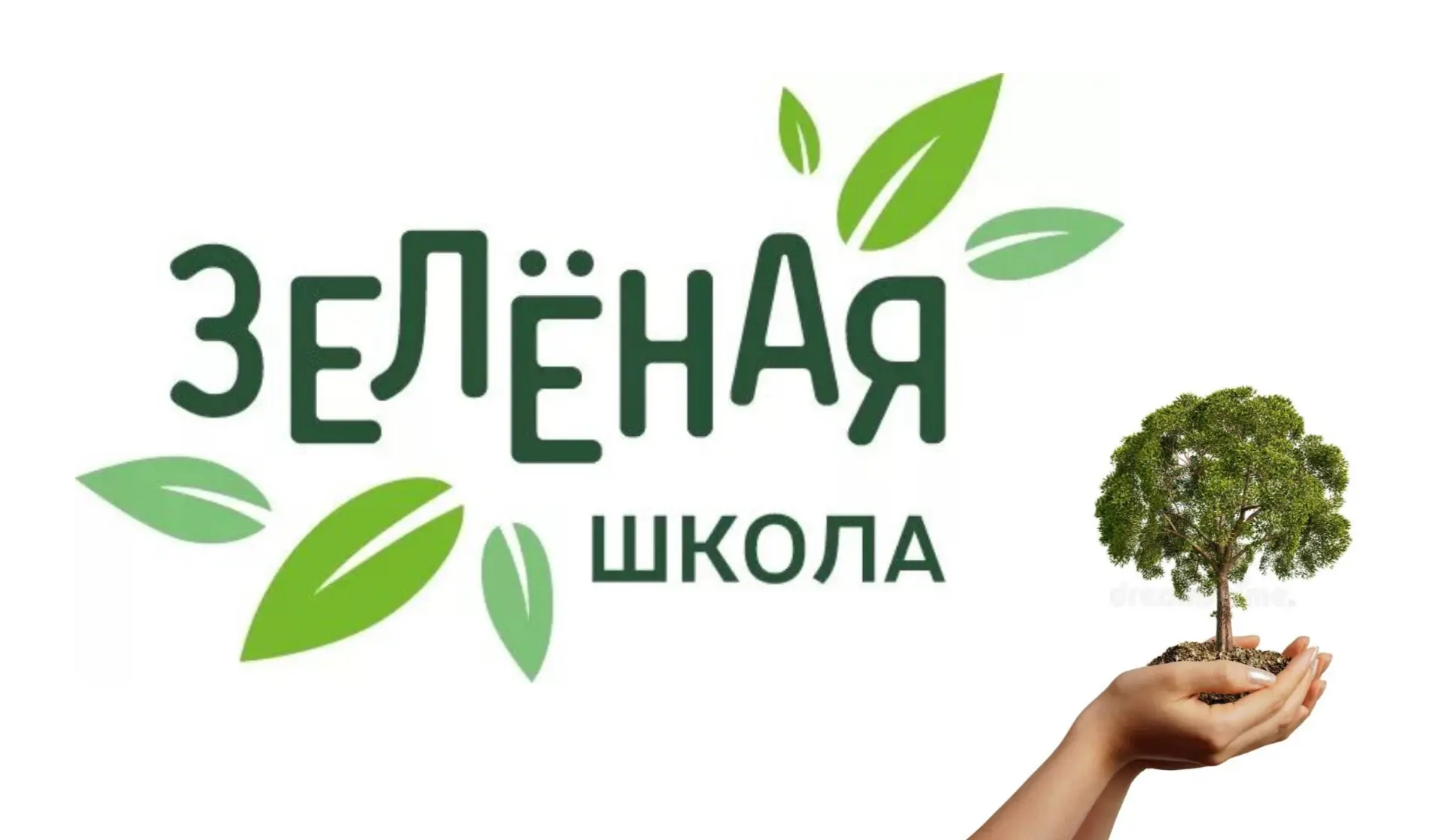 «Зеленые школы России»