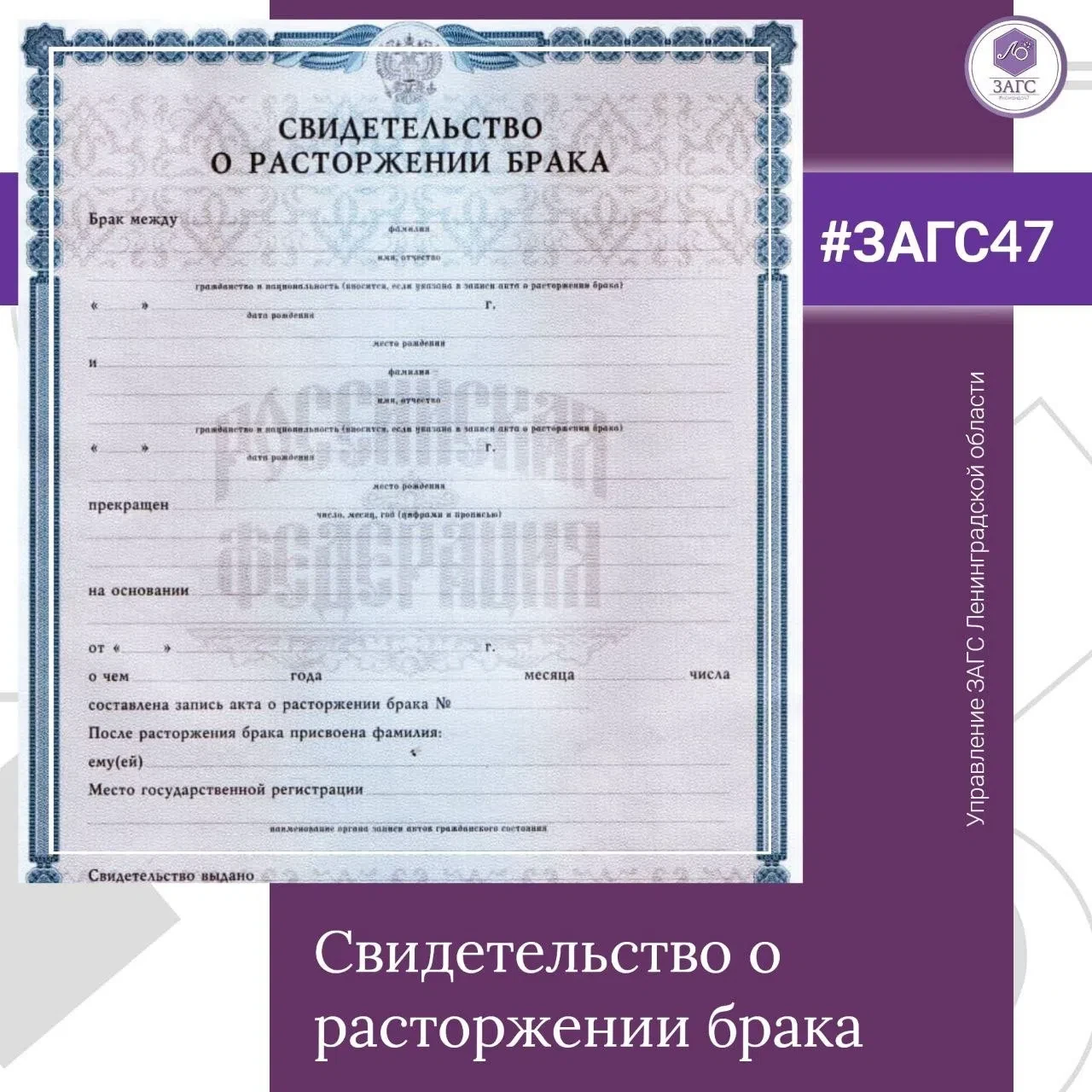 Свидетельство о расторжении брака содержит следующие сведения:
