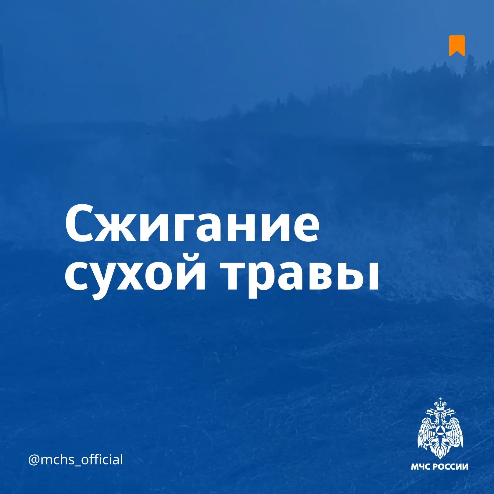 В новый учебный год – со знаниями правил безопасности 🎒📚