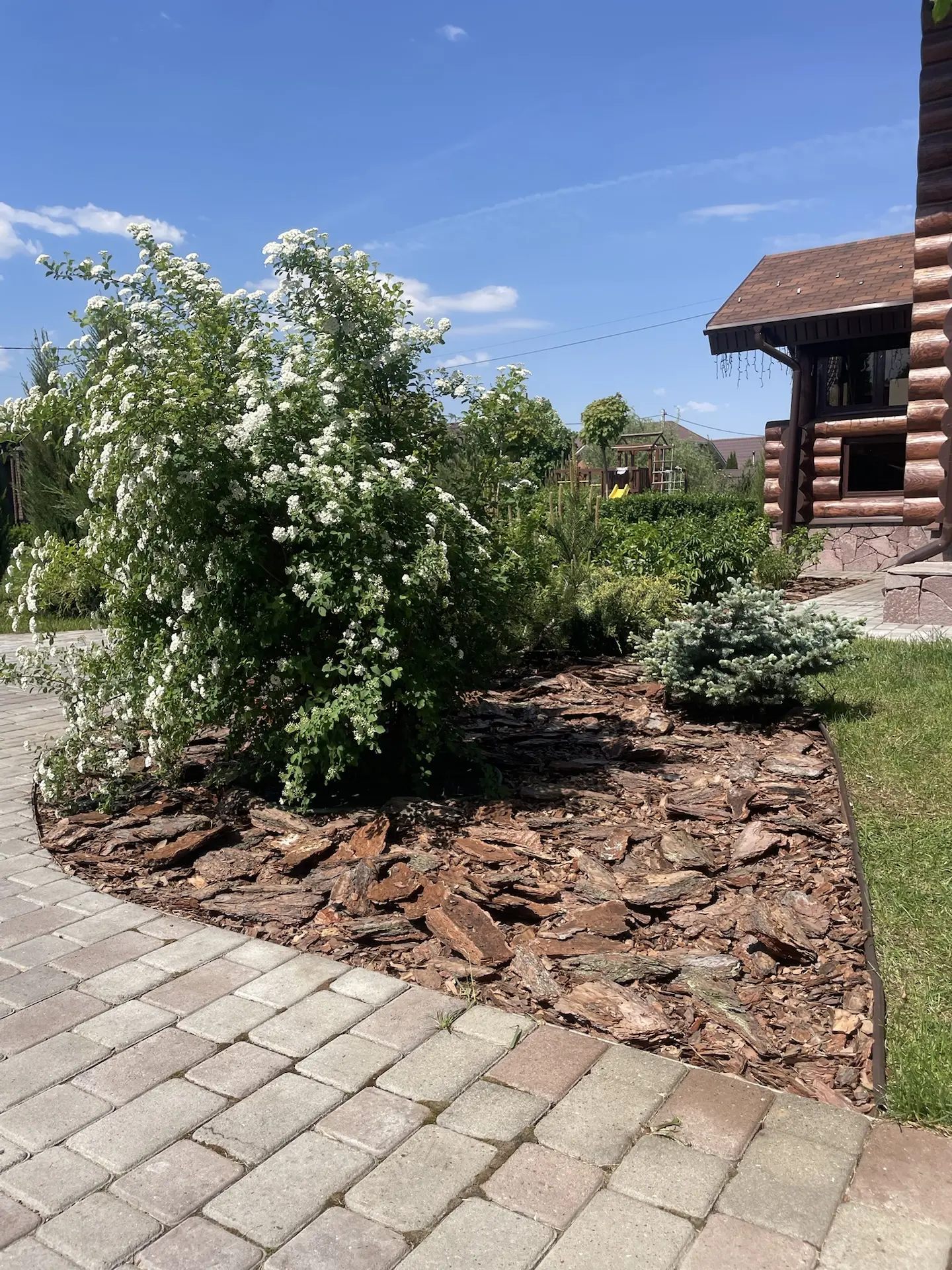 Мне так нравится, что сегодня еще раз все сфоткала, буду любоваться 🤩😁