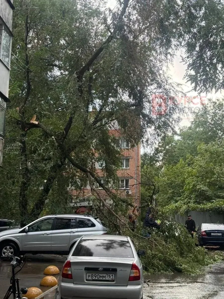 🌳 По всему Ростову наблюдаются последствия урагана🌧️⛈️⚡️☔️