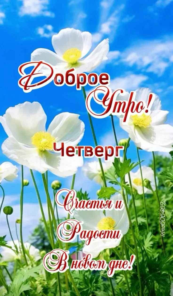 🥰 Ставьте реакции и делитесь открыткой с близкими ❤️

💌 Лучшие Открытки в MAX 
👉 Подписаться
