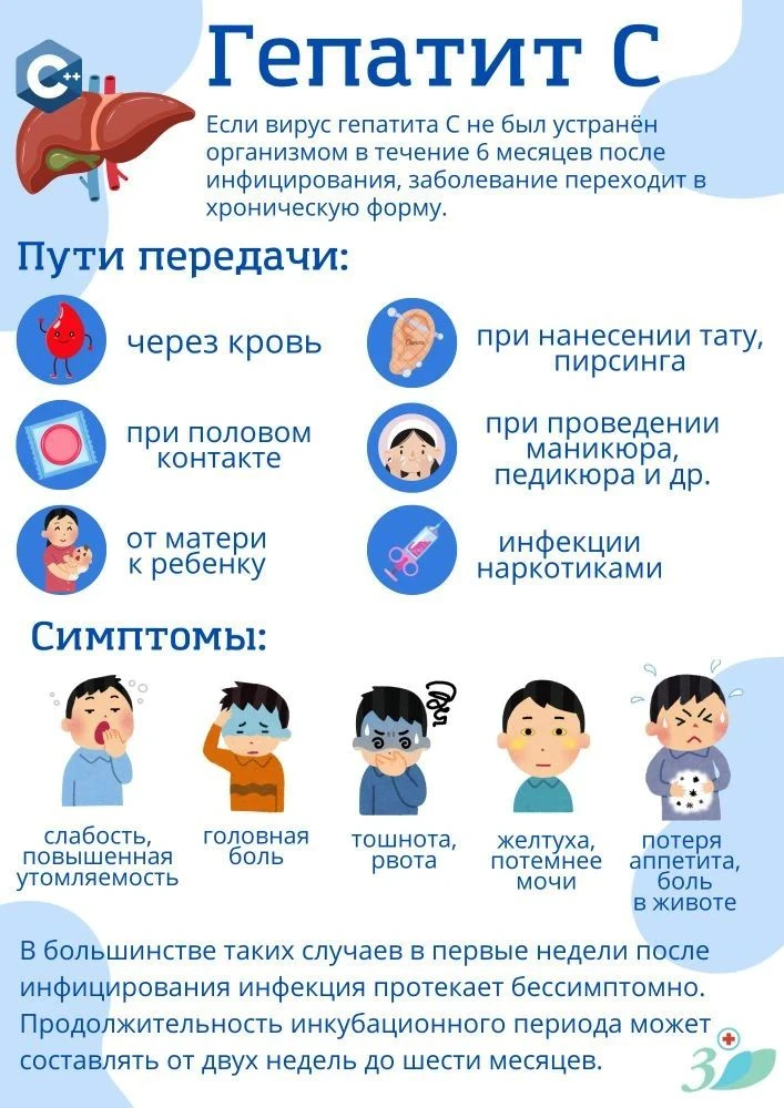 Что нужно знать про гепатит С🩸

Гепатит С – воспалительное поражение печени, вызываемое вирусом геп