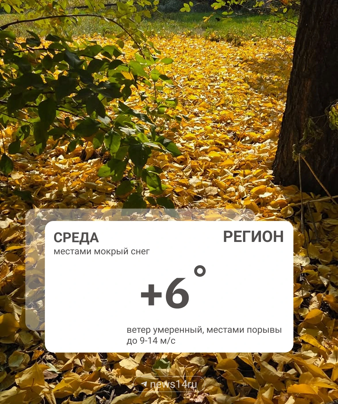 Погода 30 сентября.