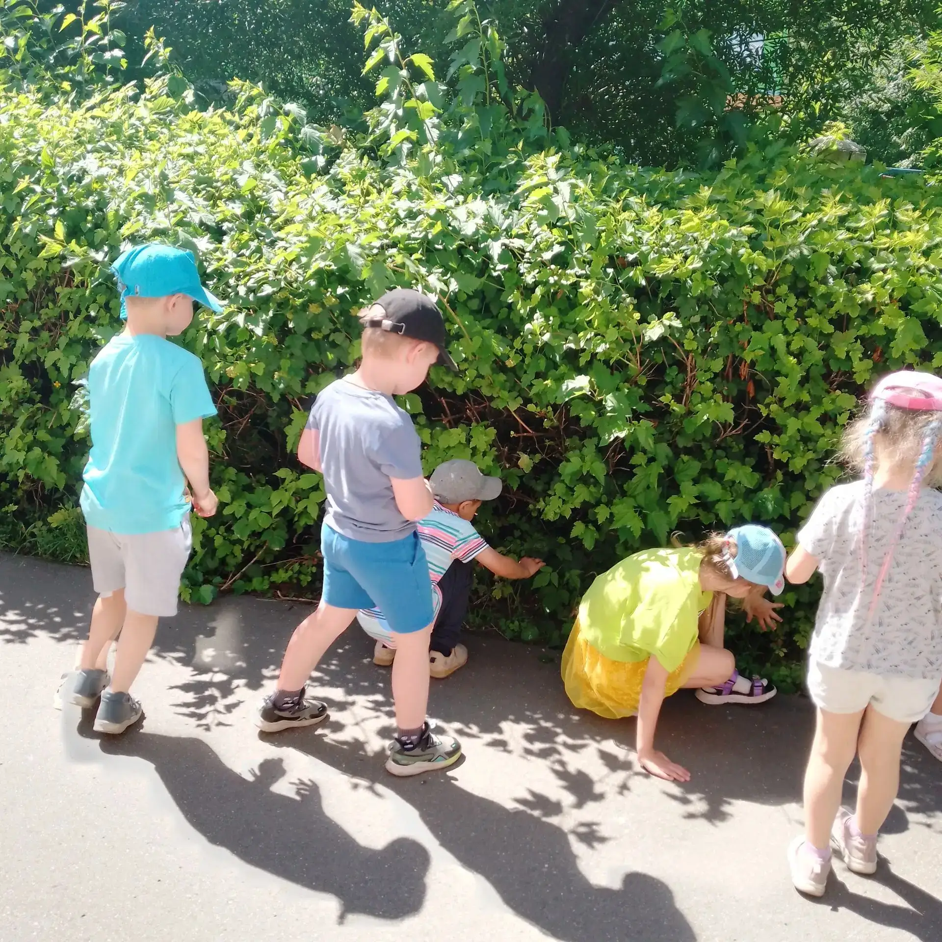 🚦Группа "Веселый светофорчик"

☀Наша летняя прогулка превратилась в настоящее приключение! Мы с реб