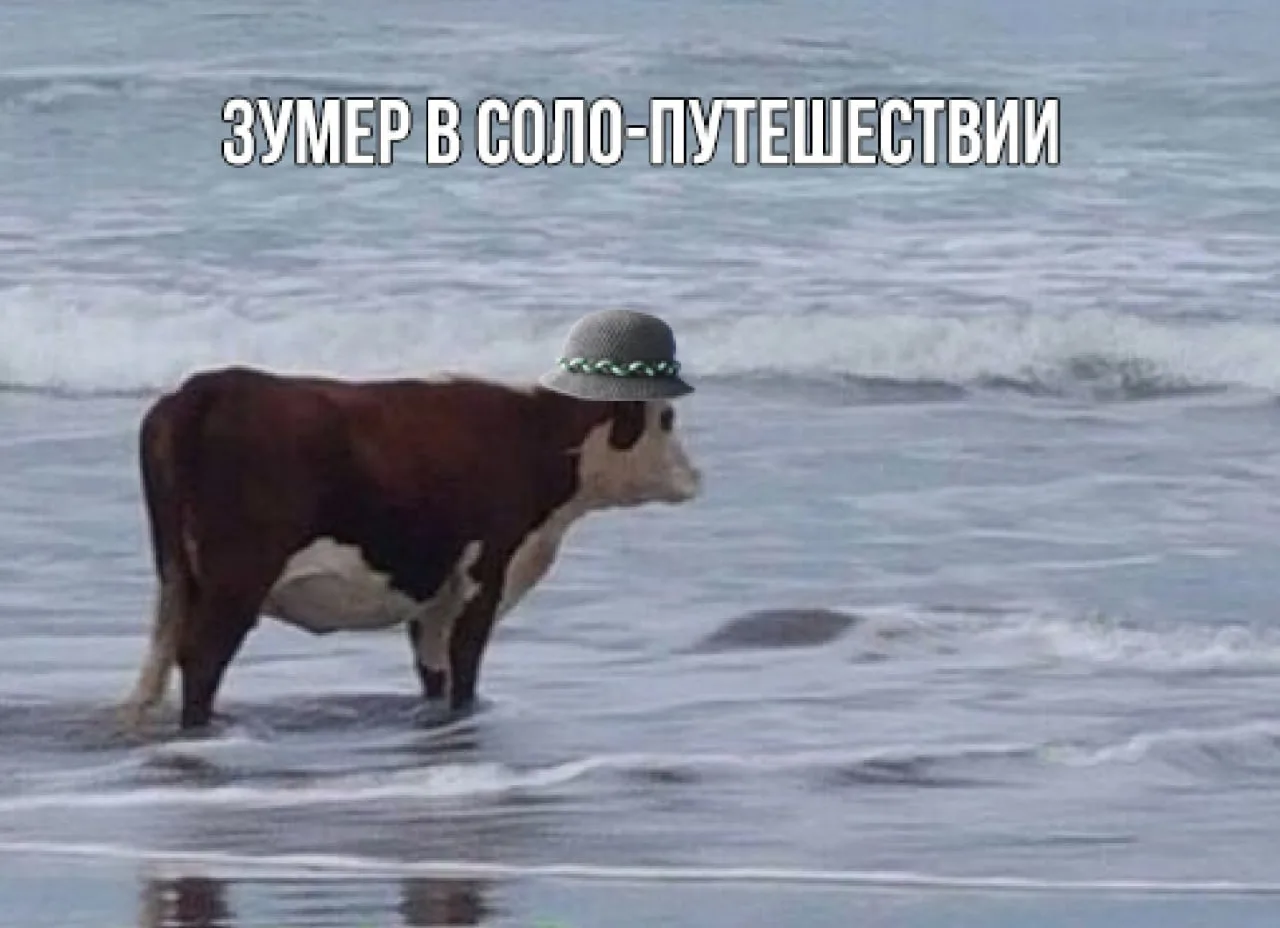 Зумеры предпочитают путешествовать в одиночку