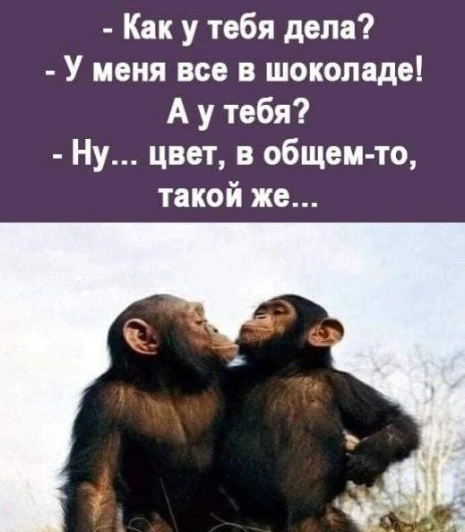 👍🔥🤣