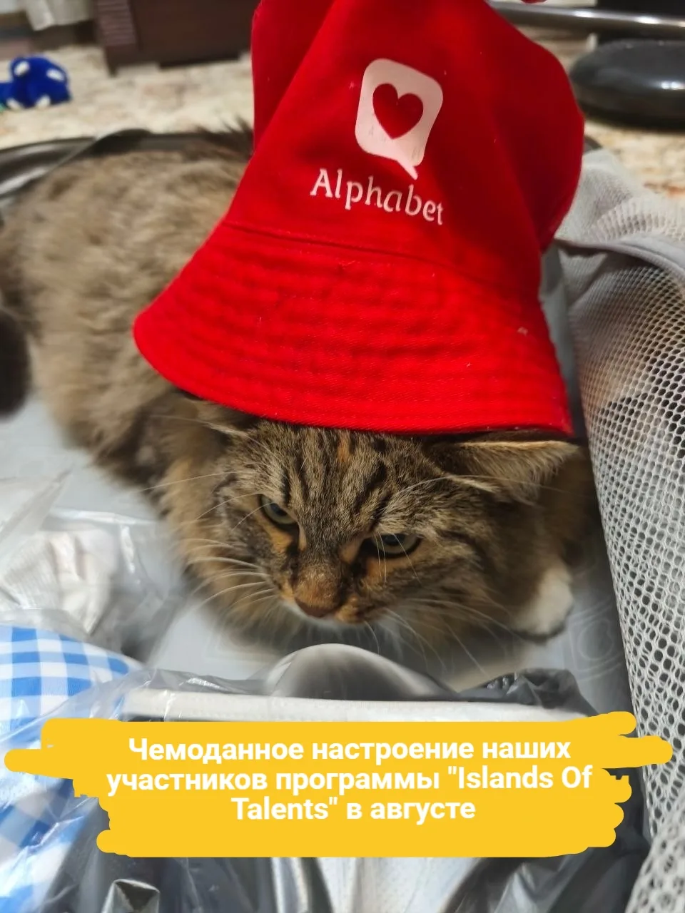 Чемоданное настроение уже накрыло участников летней образовательной программы Islands O...