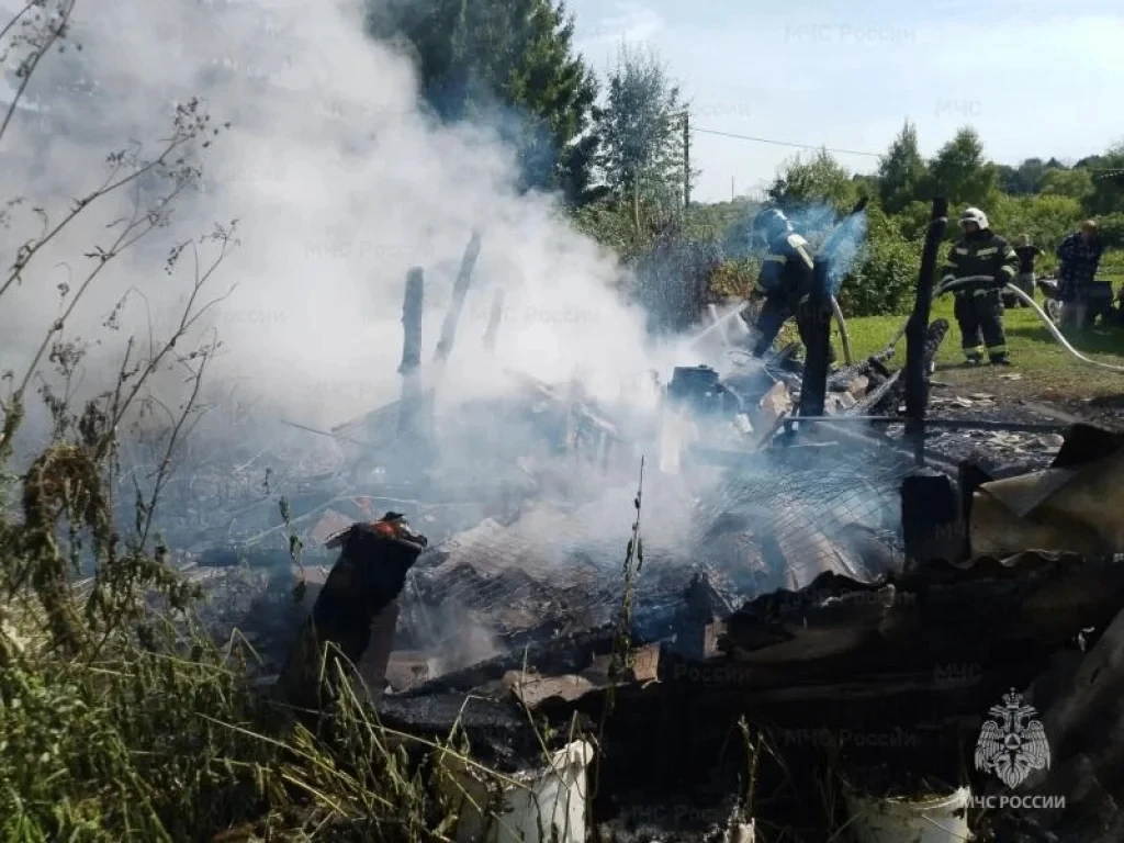 Пять пожаров ликвидировали в Тульской области 28 июля