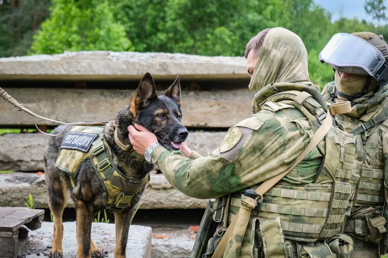 🐾Поздравляем кинологов и служебных собак Росгвардии с Днем кинологических подразделений!
 
📸Смотри