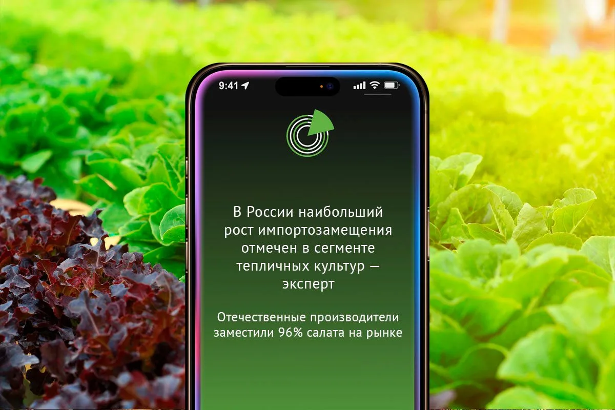 В РОССИИ НАИБОЛЬШИЙ РОСТ ИМПОРТОЗАМЕЩЕНИЯ ОТМЕЧЕН В СЕГМЕНТЕ ТЕПЛИЧНЫХ КУЛЬТУР — ЭКСПЕРТ