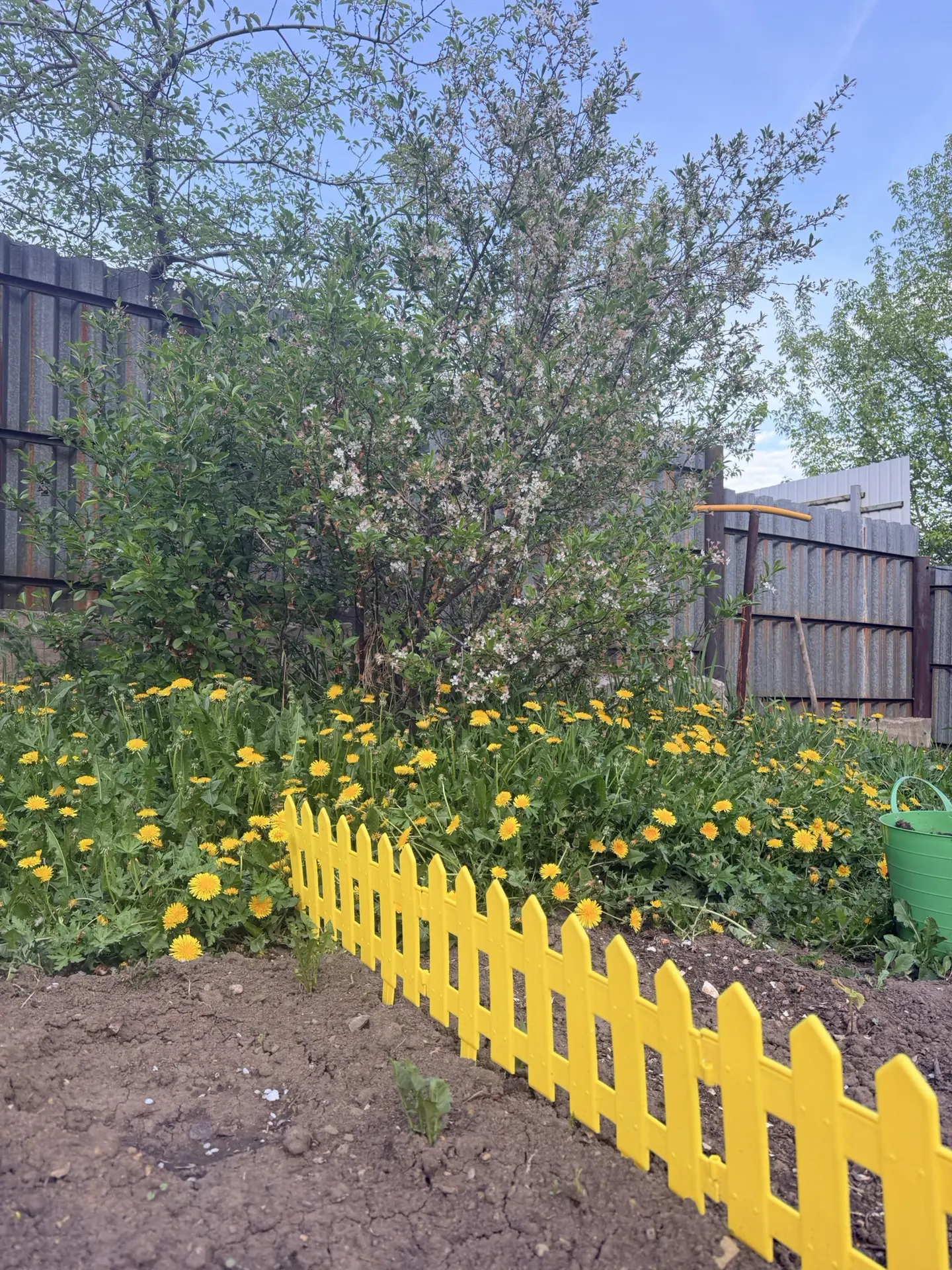 Хочется тепла и солнышка 🌞