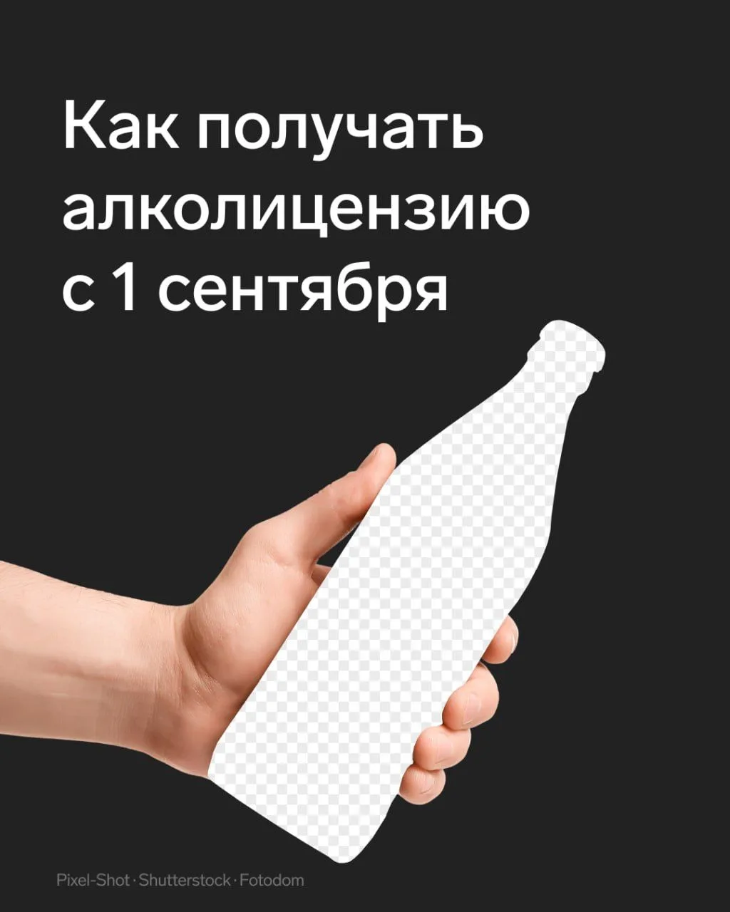 🍸 Алкогольные лицензии с 1 сентября: новые требования и сроки