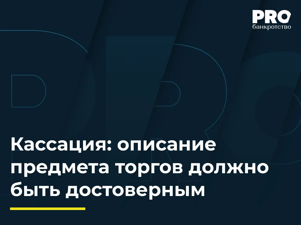 Кассация: описание предмета торгов должно быть достоверным