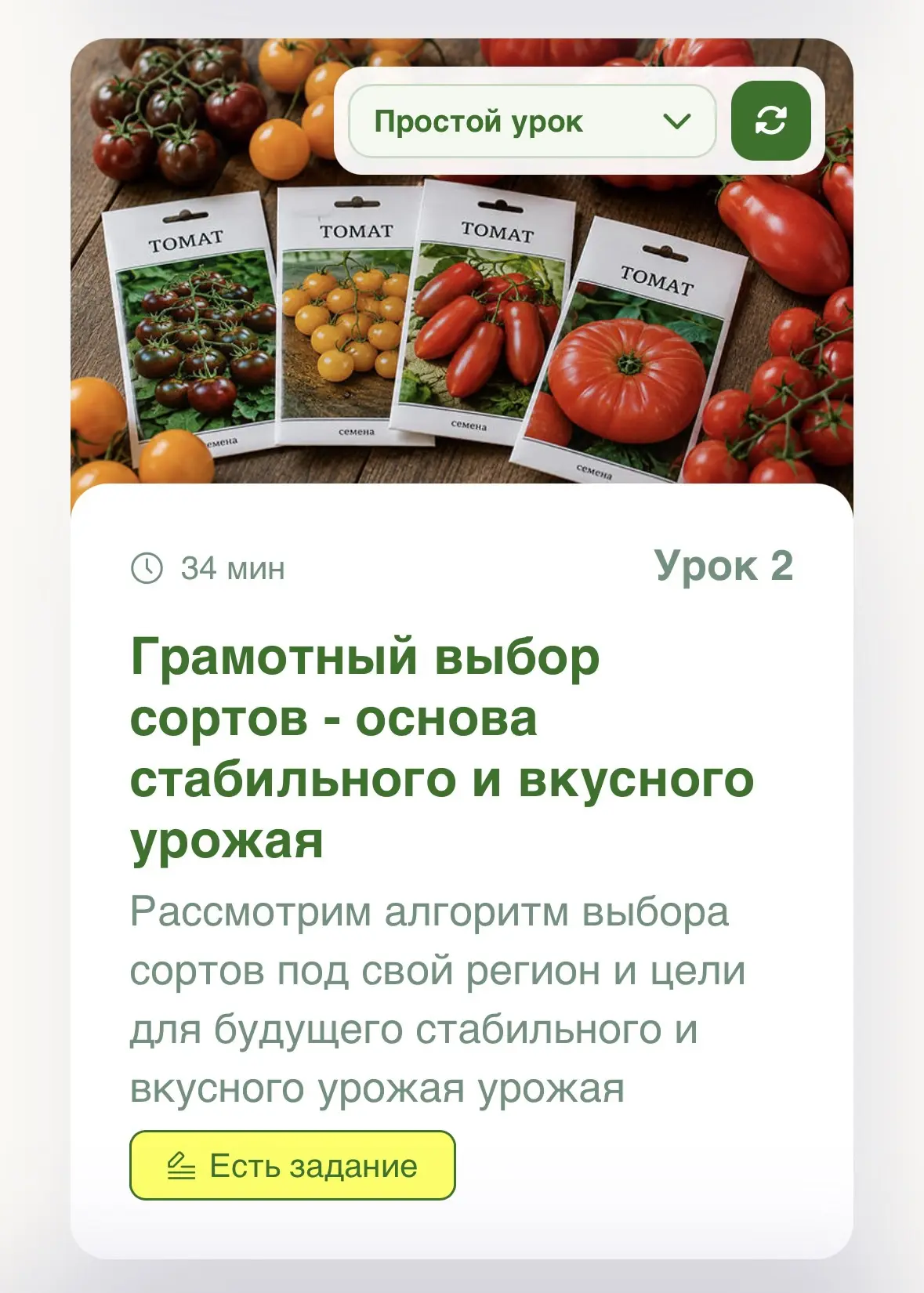 «Устала выкидывать свои томаты»🍅😢