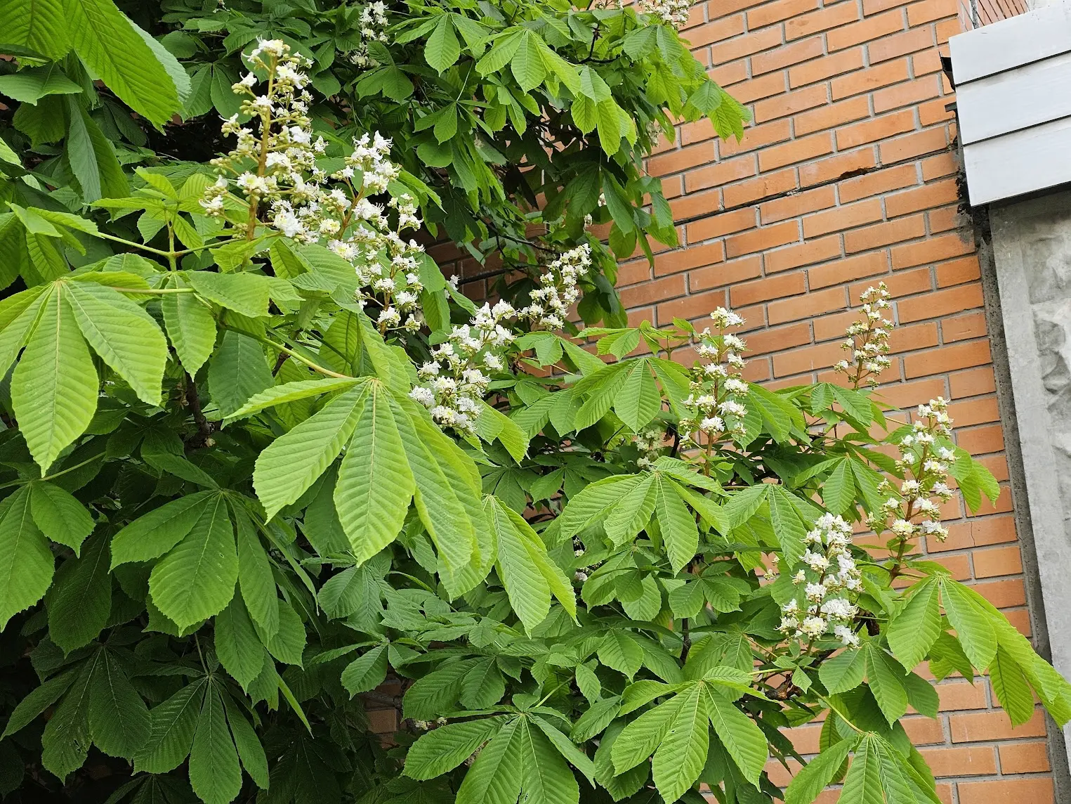 Как ваше пятничное настроение?